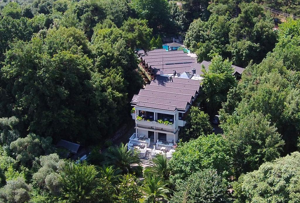 Miramare Hotel Chrisi Ammoudia Eksteriør billede